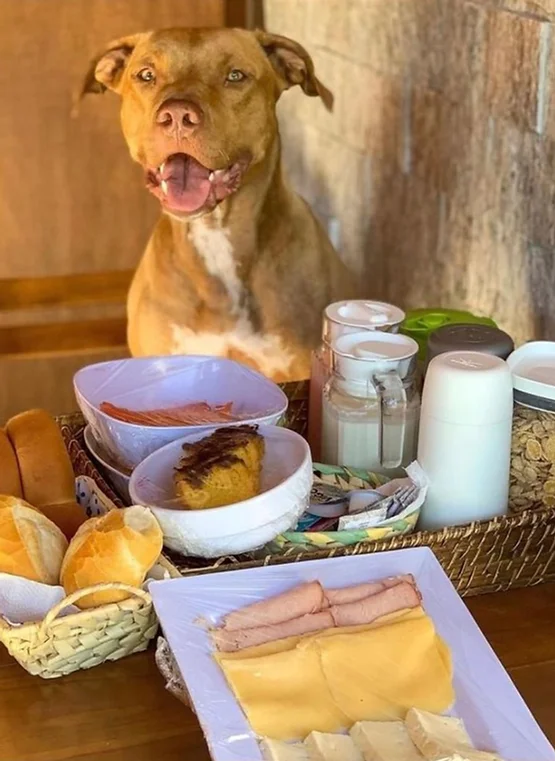 2c3401 b03745ebe44e48bc97bdb06238a932damv2