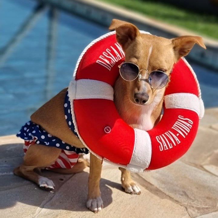 47308cbc 4030 4501 8429 215e110d37dd 2