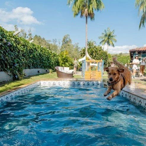 76eeab20 5781 4100 8a50 457ef5f2759e