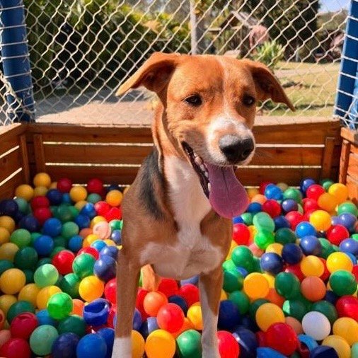 f141312c 1c52 424b 9a1b 59a4d4de5a35