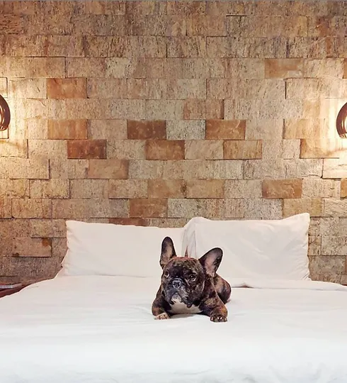 2c3401 8710f9ef9e01460eb607fb97a6ee9a22mv2