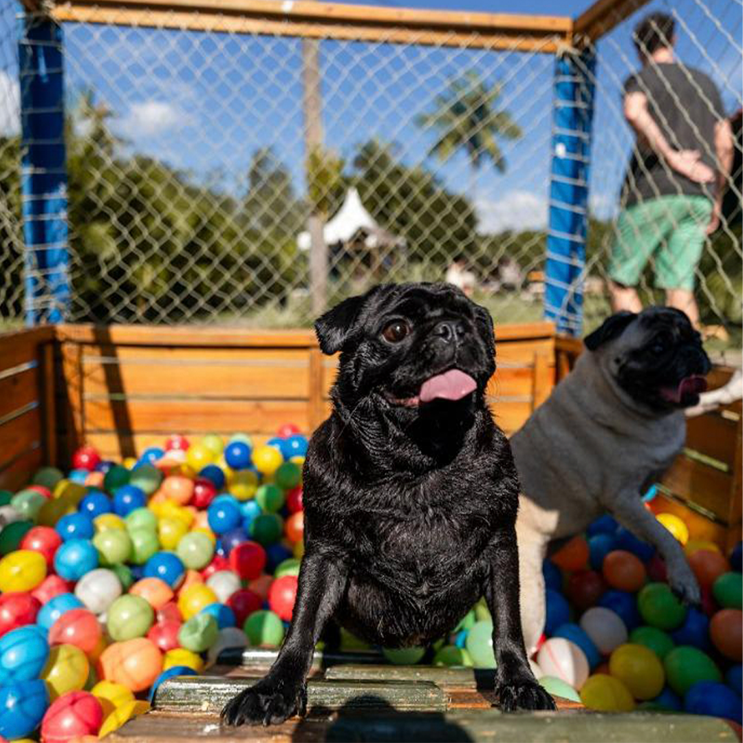 playground
